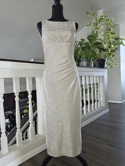 BLU SAGE Silver Metallic Lined Long Sheath Dress Boat Neck Sleeveless Size 4