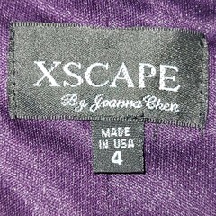 Joanna Chen XSCAPE Size 4 Dark Purple Maxi Dress Beaded Accent Ruched USA Made
