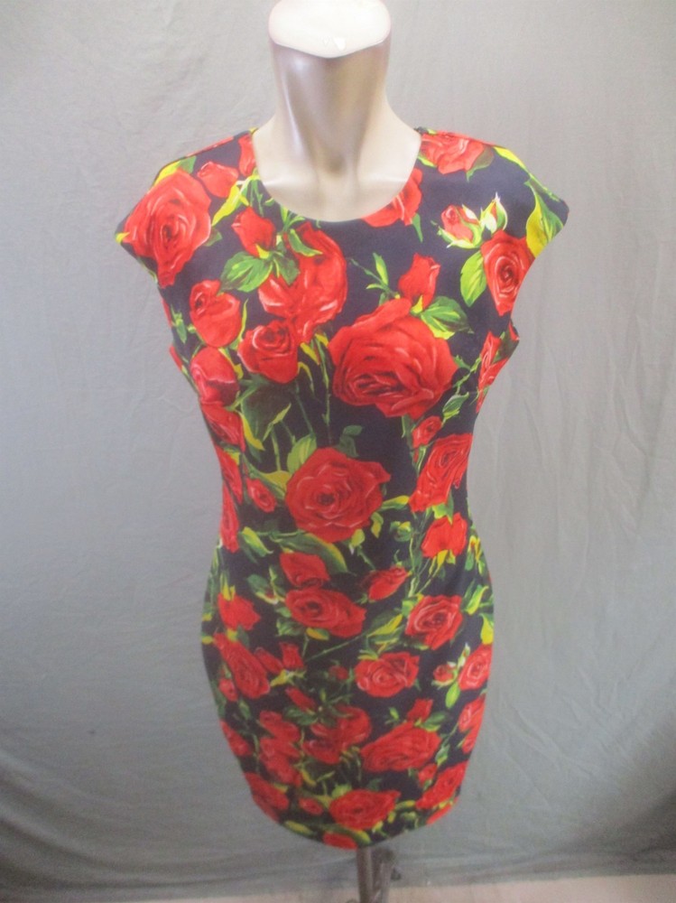 Alexia Admor Size S Womens Multicolor Floral Stretch Elegant Beauty Dress 993