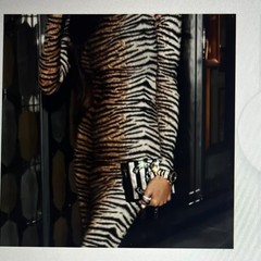 Women’s Brown White Black Animal Print Long Sleeve Maxi Dress Regular 2XL