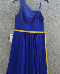 Adrianna Papell One-Shoulder Chiffon Gown Women&rsquo;s 4 Royal Sapphire Side Zip