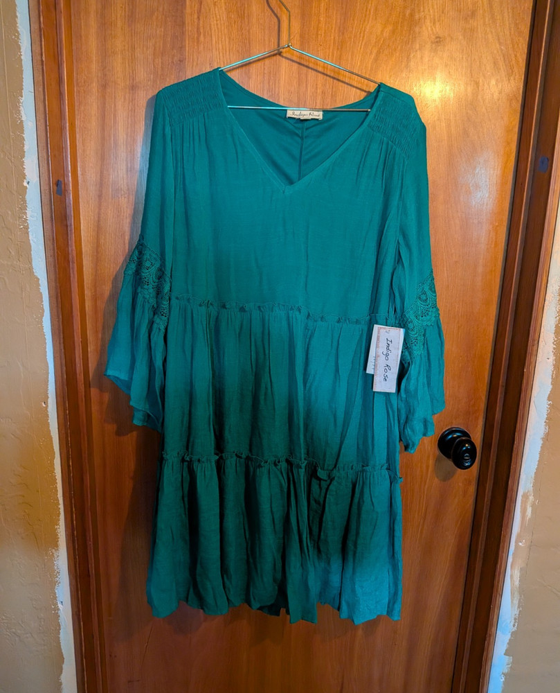 Indigo Rose Green Solid Fit & Flare V-Neck 3/4 Sleeve Lace Dress 1X