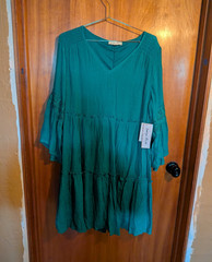 Indigo Rose Green Solid Fit & Flare V-Neck 3/4 Sleeve Lace Dress 1X