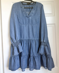 Quince Blue Chambray Tencel Lyocell V-Neck Ruffle Bell Sleeve A-Line Dress S