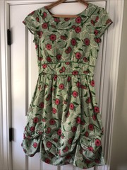 Seasalt of Cornwall England 100% Cotton Floral Briarfield Dress UK 10 US 4