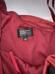 Adrianna Appel Dress