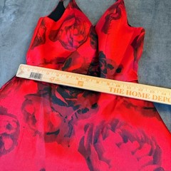 Speechless Floral Fit and Flare Dress Womens Size 0 Red Rose Sleeveless Party