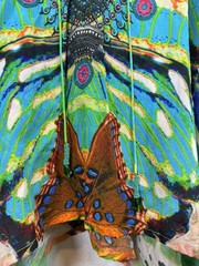 Shahida Parides One Size Flowing Beaded Kaftan v-neck tie dress painting