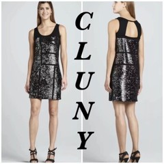 NWT Cluny Sequin Sleeveless Slip On Silk Line Dress