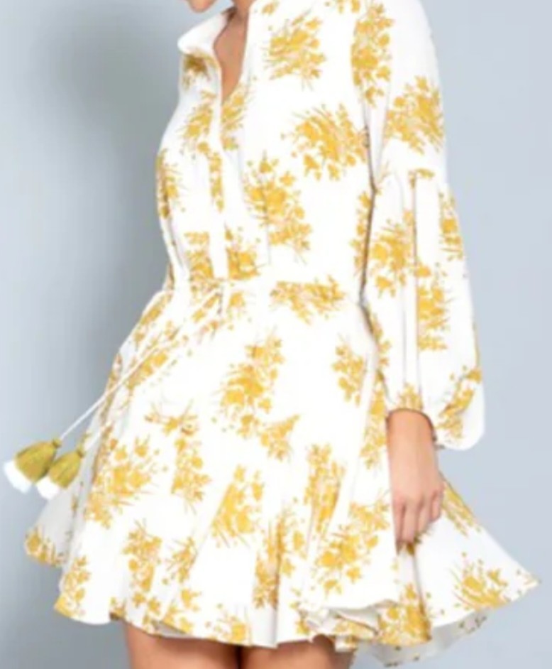 Cream & Gold Button Down Aaaka Sleeve Pleated Flare Dress with Tassel Tie Waist