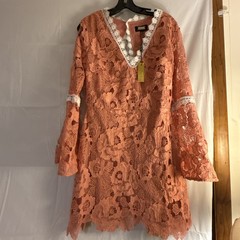 Alexia Admor Women&rsquo;s Ruffled Long Sleeve Lace Dress Rose Color Sz. Large NWT