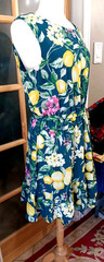Bobeau Dress Ruffled Floral Fit & Flare Lemons Sleeveless 1X Blue Yellow Lined