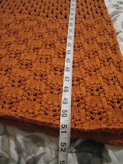 Anthropologie, Orange-Rust, Crochet Knit, Maxi Dress/Topper. Med. NWT