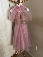 Pink and Gold Dazzle Sleeveless / Pink Gauze Sleeve Sparkle Princess Dress