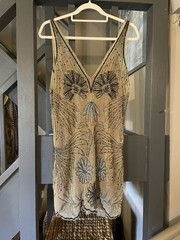 Zara ZW Collection Tulle Embroidered Dress M New Rrp £109