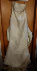 John Paul Ataker Gown (Size 40)
