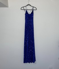 Windsor Blue Sequins dress