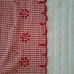 NWT JG Hook Button Front Shirt Dress 14P Red Gingham Seersucker Embroidered 90&rsquo;s