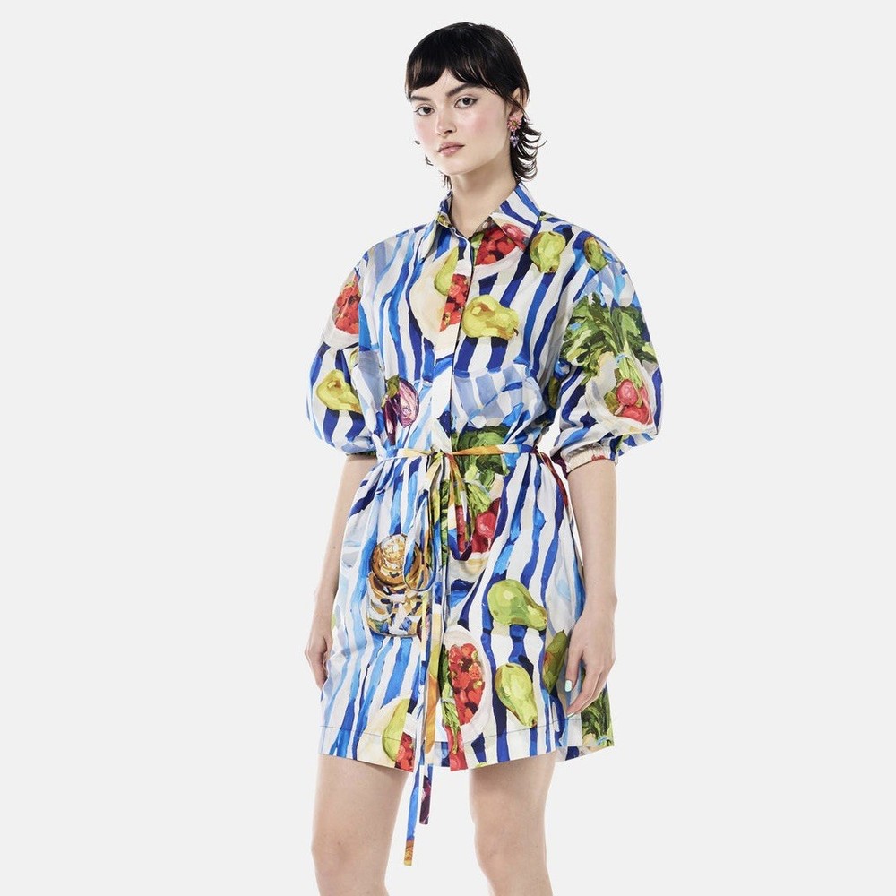 Romance Was Born Stripe Picnic Shirt Dress Size 12 / Large NWT Wedding Formal