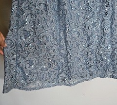 Blu Sage Long prom dress size 8