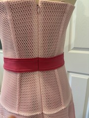 Carolina Herrera Runway Spring 2016 $2300 Size 8 Pink Corset Dress New With Tags