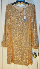 Preston & York Champagne Sequin Shift Dress Lined Zip Long Sleeve Sz 8
