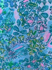 Lilly Pulitzer Kristen Dress Small Blue Lilly Loves South Carolina Sleeveless