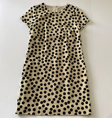 J Crew Scattered Polka Dot Shift Dress sz 2 Beige Black Cotton Blend
