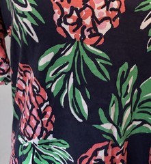 Draper James Women’s Dress M Navy Pink Green Pineapple V-Neck Short Sleeve XL