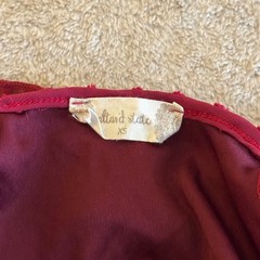 Altar&rsquo;d State Burgundy Swiss Dot Smocked Mini Dress Long Balloon Sleeve XS