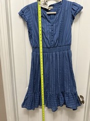 Indigo Rose Mini Dress Large Blue Cap Sleeve Romantic Spring Feminine (32-12)