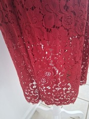 Express Ox Blood Red Lace Midi Dress Size 10 Feminine Romantic Elegant