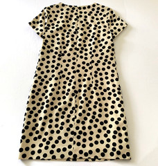J Crew Scattered Polka Dot Shift Dress sz 2 Beige Black Cotton Blend