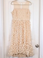 Belle Badgley Mischka Beverly Peach Cream Floral Applique Mesh Detail Midi Dress