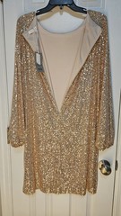 Preston & York Champagne Sequin Shift Dress Lined Zip Long Sleeve Sz 8