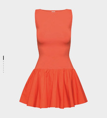 Aritzia Segment Dress XS Poppy Red