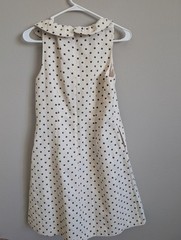 Johnston & Murphy Cream Black Mini Gold Polka Dot Fit and Flare Dress Size 6