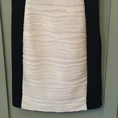 Calvin Klein Career Workwear Dress Black & Nude Textured Panel Size 4
