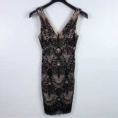 David’s Bridal studio sleeveless lace shift dress size 2 wedding guest