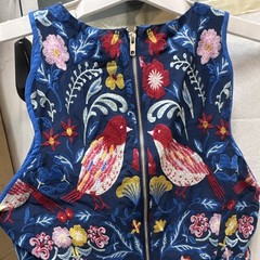 Adelyn Rae Blue Embroidered Bird Floral Sleeveless Mini Dress Size XL🪄