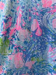Lilly Pulitzer Dress Large Blue Pink Coral Ross Shift Fished My Wish Sleeveless