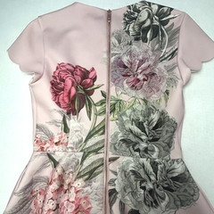 Ted Baker Haiilie Palace Gardens Floral Scalloped Pink Grey Skater Dress US 2