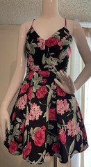 B. Smart Women&rsquo;s Sleeveless Size 1 Floral Dress with Criolyn great quality