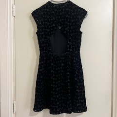 Free People Womens Floral Embroidered Velvet Mini Dress 2 Open Back Whimsigoth
