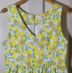 Everly Dress Womens Medium Linen Blend Lemons Sleeveless Garden Tea Party Summer