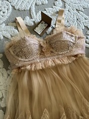 Authentic NEW BURBERRY Women&rsquo;s Nude RUNWAY Tull / Lace Baby Doll Dress 6 US S