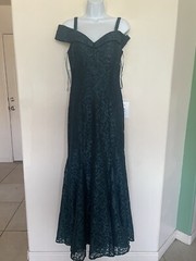 R&M Richards Women&rsquo;s Off-The-Shoulder Lace Gown- Size 8 Green