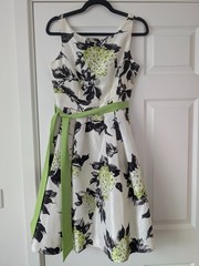 Jessica Howard Dress Size 8 Black and Green
