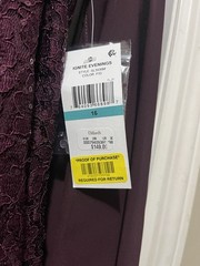 Ignite Evenings Fig Lace Beaded Sequin Long Gown Dress Size 16 Cape Sleeve