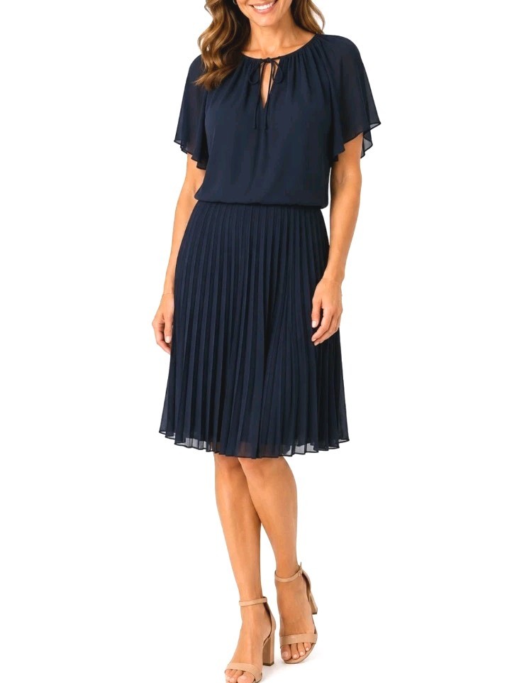 BCBGMaxAzria ~ Woman Size XS~ « LONA » Black Fit & Flare Pleated Dress NWT.
